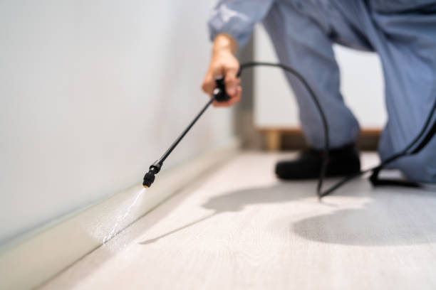 Licensed Fumigation Services service in English, IN - Nex Pest Control