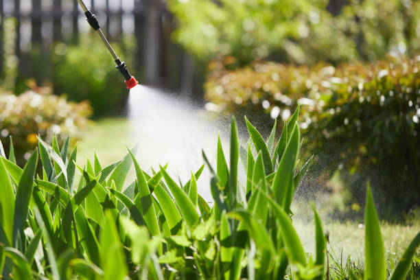 24/7 Emergency Fumigation Services experts in English, IN
