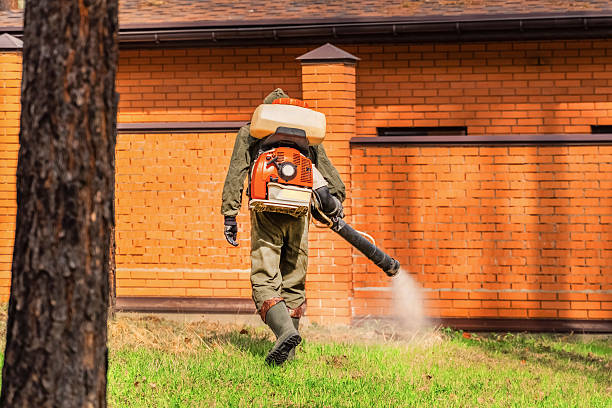 Trusted Fumigation Services service in English, IN - Nex Pest Control